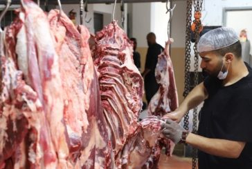 الإغاثة الزراعية تختتم حملة توزيع لحوم الأضاحي في محافظات شمال الضفة الغربية