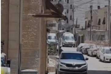 فيديو- 