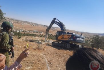 الاحتلال يهدم مشتلا زراعيا شمال غرب سلفيت