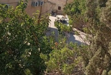 الاحتلال يعتقل طفلا وشابا في قراوة بني حسان غرب سلفيت