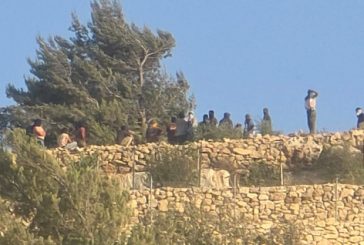 مستوطنون يعتدون على مواطنين والجيش يعتقل مواطنين إثنين