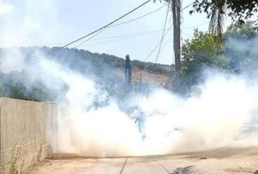إصابة طفلة بالاختناق جراء إطلاق الغاز على مخيم صيفي في القدس