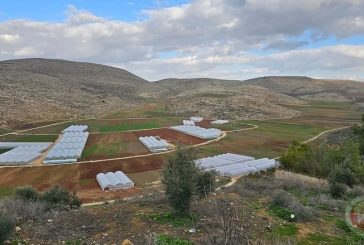 الإغاثة الزراعية تستجيب لمناشدة مجلس قروي بيت دجن لإنقاذ الموسم الزراعي في سهل القرية