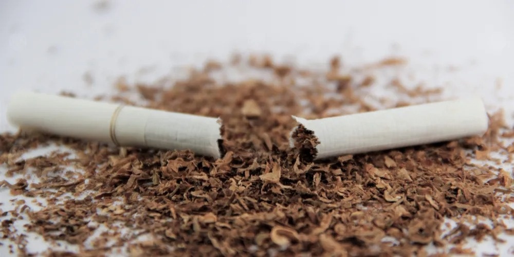 النيكوتين.. مرة أخرى