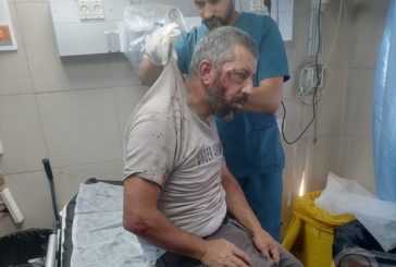 مستوطنون يعتدون بالضرب على مواطن ونجله شرق الخليل