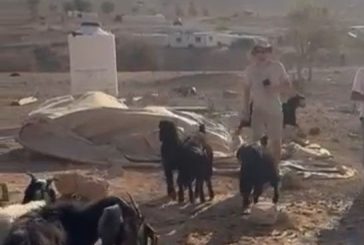 شاهد- مستوطنون يقتحمون تجمع شلال العوجا