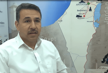 الشلل يضرب قطاع الدواجن.. سلسلة إنتاج تتهاوى من الفقاسة حتى المستهلك