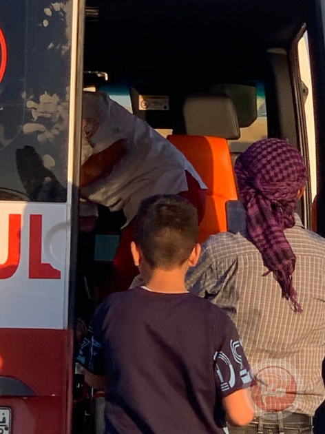 مستوطنون يهاجمون خربة الفخيت بمسافر يطا ويصيبون مواطنة وناشطتين أجنبيتين
