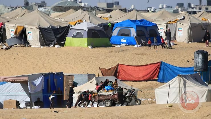 الإحصاء: 740 ألف فرد صامدون في شمال قطاع غزة