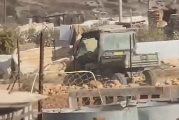 مستوطنون يهاجمون منازل المواطنين بمسافر يطا ويسرقون حمارين
