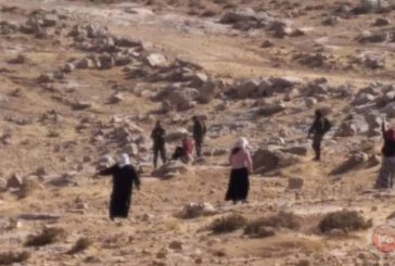 مستوطنون يهاجمون منازل المواطنين في كيسان شرق بيت لحم