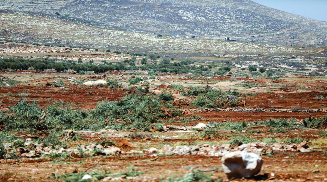 الاحتلال يعتقل شابا ومستوطنون يعتدون على آخر في قرية المغير