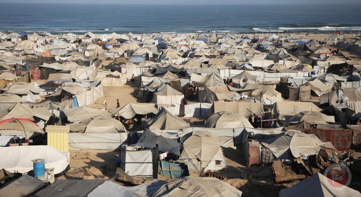 بالأرقام: معظم سكان غزة يرفضون النزوح وبعض النازحين عادوا للمدينة