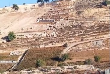 الخليل.. اعتداءات المستوطنين متواصلة والاحتلال يواصل تجريف الأراضي