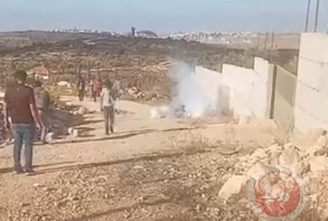 رام الله: الاحتلال يطلق الرصاص تجاه قاطفي الزيتون في كوبر