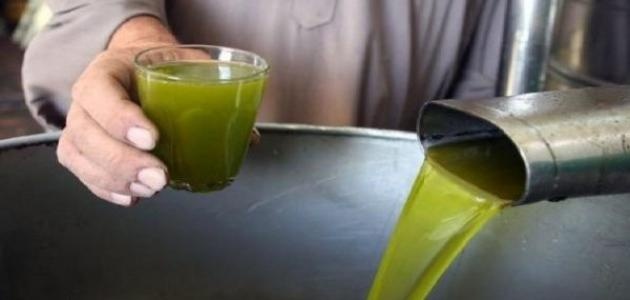 المفتي العام يدعو المزارعين إلى إخراج زكاة الزيت والزيتون