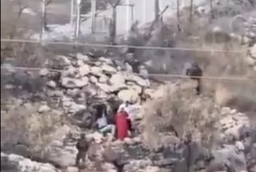 الاحتلال يعتدي على المواطنين ومستوطنون يهاجمون عائلة في نحالين