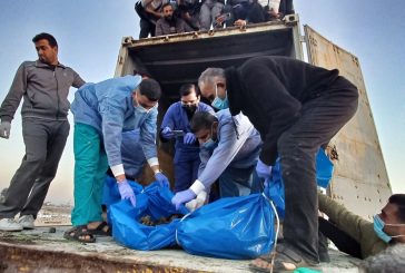 الصحة بغزة تطالب بمساعدة دولية للتعرف على جثامين الشهداء