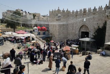 الحرب تُلقي بظلالها على البلدة القديمة بالقدس: نصف المحال أُغلقت والتجار يروون حكايات الصمود