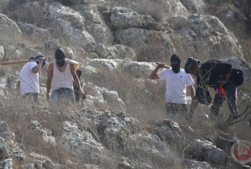 تقرير: جرائم المستوطنين تتصاعد بالضفة تمهيدا للضم وطرد سكانها