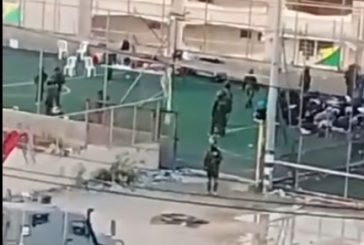 الاحتلال يواصل التنكيل ببلدة بيت أمر ويعتقل العشرات في محافظة الخليل