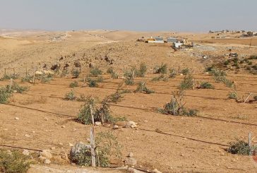 الاحتلال يعتقل 3 مواطنين بعد اعتداء مستوطنين ويصادر جراراً شرق يطا