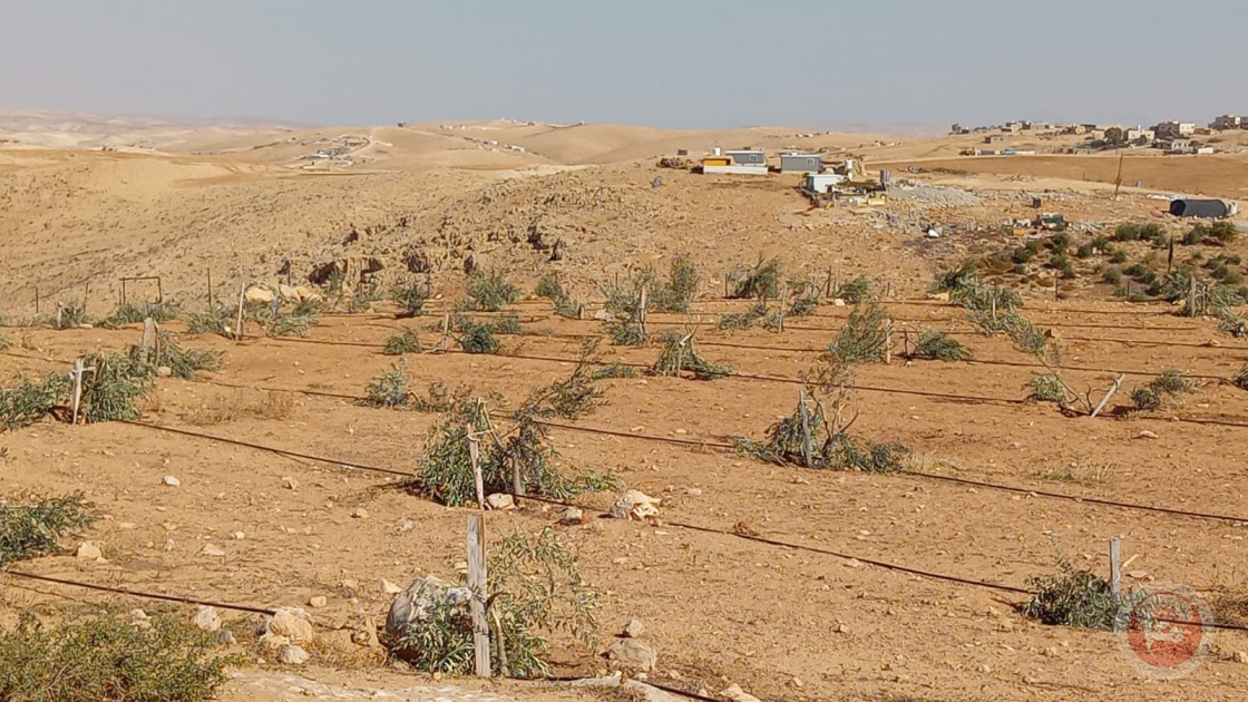 الاحتلال يعتقل 3 مواطنين بعد اعتداء مستوطنين ويصادر جراراً شرق يطا