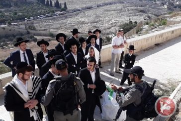 محافظة القدس: تحطيم شواهد قبور 