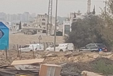 الاحتلال يعتقل 12 شابا من 