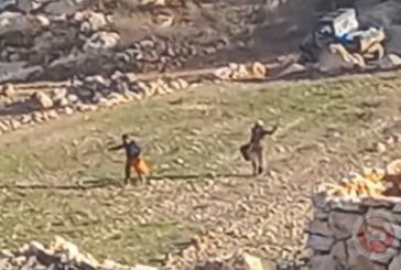 مسافر يطا.. مستوطنون يحرثون أراضي المواطنين والاحتلال يمنعهم من دخولها (شاهد)
