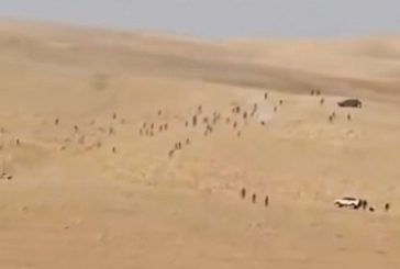 إصابة شاب بجروح جراء اعتداء مستوطنين شمال غرب أريحا