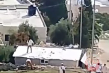 بيت لحم.. 10 إصابات في هجوم للمستوطنين على خلايل اللوز (فيديو)