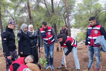 حملة وطنية لزراعة نصف مليون شتلة لتعزيز الغطاء النباتي والعمل التطوعي