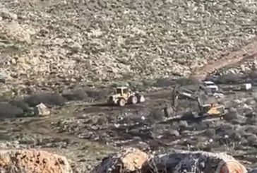 جرافات الاحتلال تقتلع عشرات أشجار الزيتون في دير بلوط غرب سلفيت