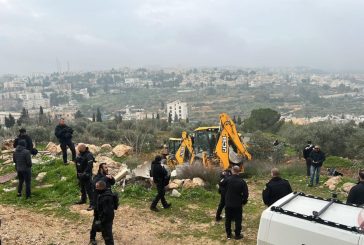 الاحتلال يجرف أراض ويقتلع عشرات الأشجار جنوب نابلس