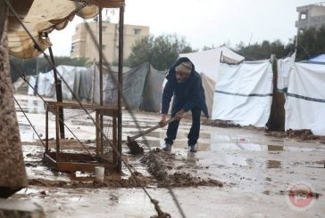 386 شهيدا خلال شهرين من وقف إطلاق النار والالتزامات الإنسانية 38%؜