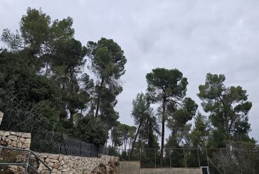 حالة الطقس: ارتفاع على درجات الحرارة مع بقاء الأجواء باردة