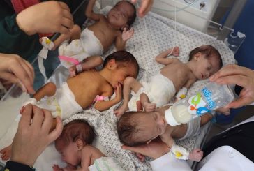 البرش: انخفاض كبير في عدد المواليد بقطاع غزة