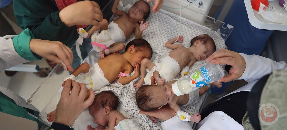 البرش: انخفاض كبير في عدد المواليد بقطاع غزة