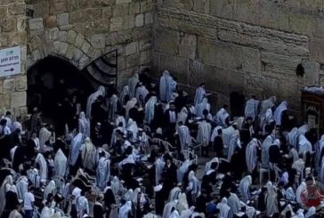 شاهد- مستوطنون يقتحمون الأقصى ويؤدون طقوساً تلمودية بحماية الاحتلال