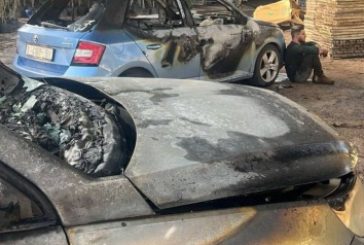 إصابات في هجوم للمستوطنين على مشتل غرب نابلس(صور)