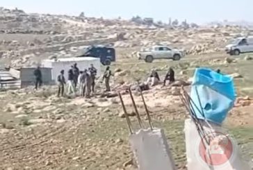 فيديو- مستوطنون يهاجمون المواطنين بمسافر يطا والاحتلال يعتقل مواطنين