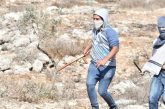 بيت لحم : مستعمرون يهاجمون مركبات المواطنين قرب تقوع