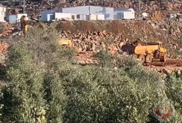 شاهد- الاحتلال يجرف أراضي في ترمسعيا شمال رام الله