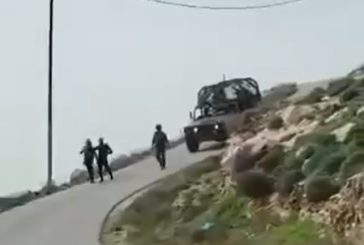 مستوطنون يتلفون محاصيل زراعية شمال غرب نابلس