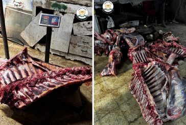 ضبط حوالي 600 كيلو لحوم غير صالحة للاستهلاك في محافظة الخليل