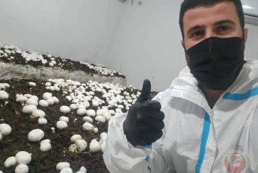 رغم التحديات الاقتصادية… شاب من بديا يخوض تجربة زراعة الفطر