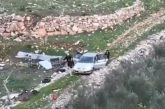 مستعمرون يخربون أراضٍ زراعية في قرية المغير شرق رام الله