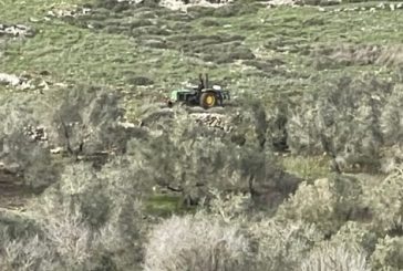 مستوطنون يحرثون أراضي المواطنين في ياسوف شرق سلفيت