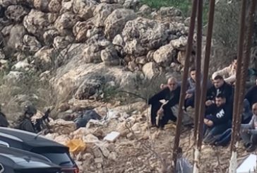 مستوطنون يهاجمون المواطنين في وادي العين وجيش الاحتلال يحتجز عدداً منهم بدير بلوط